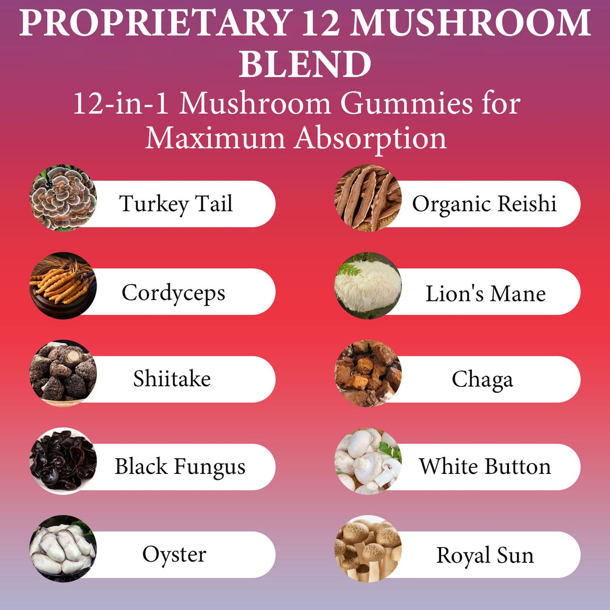 Sky Nutrition Mushroom Gummies, 12 in 1 Mushroom Blend with Lions Mane, Turkey Tail, Organic Reishi, Cordyceps, Immune Support & Energy Boost, Mushroom Supplement for Adults, Non-GMO, 60 Gummies