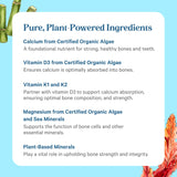 PURE SYNERGY Bone Renewal | Bioavailable Calcium with Cofactors | Natural, Vegan Supplement with Vitamin D3, K2, Magnesium, & Boron | for Lasting Bone Strength (150 Capsules)