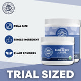 Vimergy Wild Blueberry Powder –Protects Brain Health* - Supports Cardiovascular Function* – Organic, Vegan & Gluten-Free – Trial Size 125g