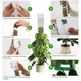 12 Inch Self Watering Moss Pole for Climbing Plants, D Shaped & Stackable