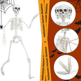 SHOCOSTO Skeleton Halloween Decor,3Ft Life Size Skeleton Full Body Plastic Human Bones for Halloween Decoration