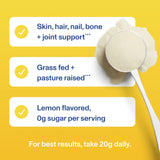 Vital Proteins Collagen Peptides Powder, Collagen Supplements, Hair & Skin Health, 14 Servings, Lemon