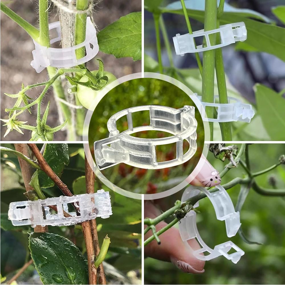 100Pcs 2025 Upgraded Plant Clip Secured Plastic Plant Clip for Climbing Plants, Plant Support Clips Tomato Clip for Climbing Plants Clips for Tomato Grape Vine Vegetables Plant Clips (100, Green)