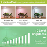 GTRUIIDY Desktop Grow Light, Full Spectrum Plant Light with Timer, Height Adjustable Halo Grow Lamp for Indoor Plants, 3 Lighting Modes for Seedlings & Succulents, White
