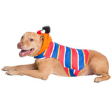 Pet Krewe Large Ernie Costume - Sesame Street Ernie Dog Costume - Fits Small, Medium, Large and Extra Large Pets - Perfect for Halloween, Christmas Holiday, Parties, Photoshoots, Gifts for Dog Lovers