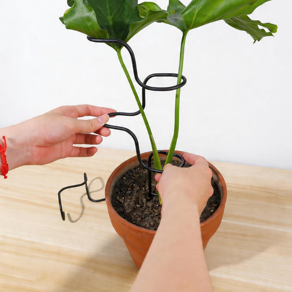 3PCS Indoor Plant Support Stakes - Sturdy Metal Trellis for Houseplants