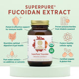PURE SYNERGY SuperPure Fucoidan Extract | Gluten-Free Fucoidan from Organic Brown Seaweed | for Immune Health, Digestion, and Healthy Aging (60 Capsules)