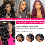 eddfine 250% Density Glueless Wigs Human Hair Pre Plucked Pre Cut 5x5 HD Lace Closure Wigs Human Hair Body Wave Lace Front Wigs Human Hair for Women Glueless Wigs Human Hair for Beginners 26 Inch