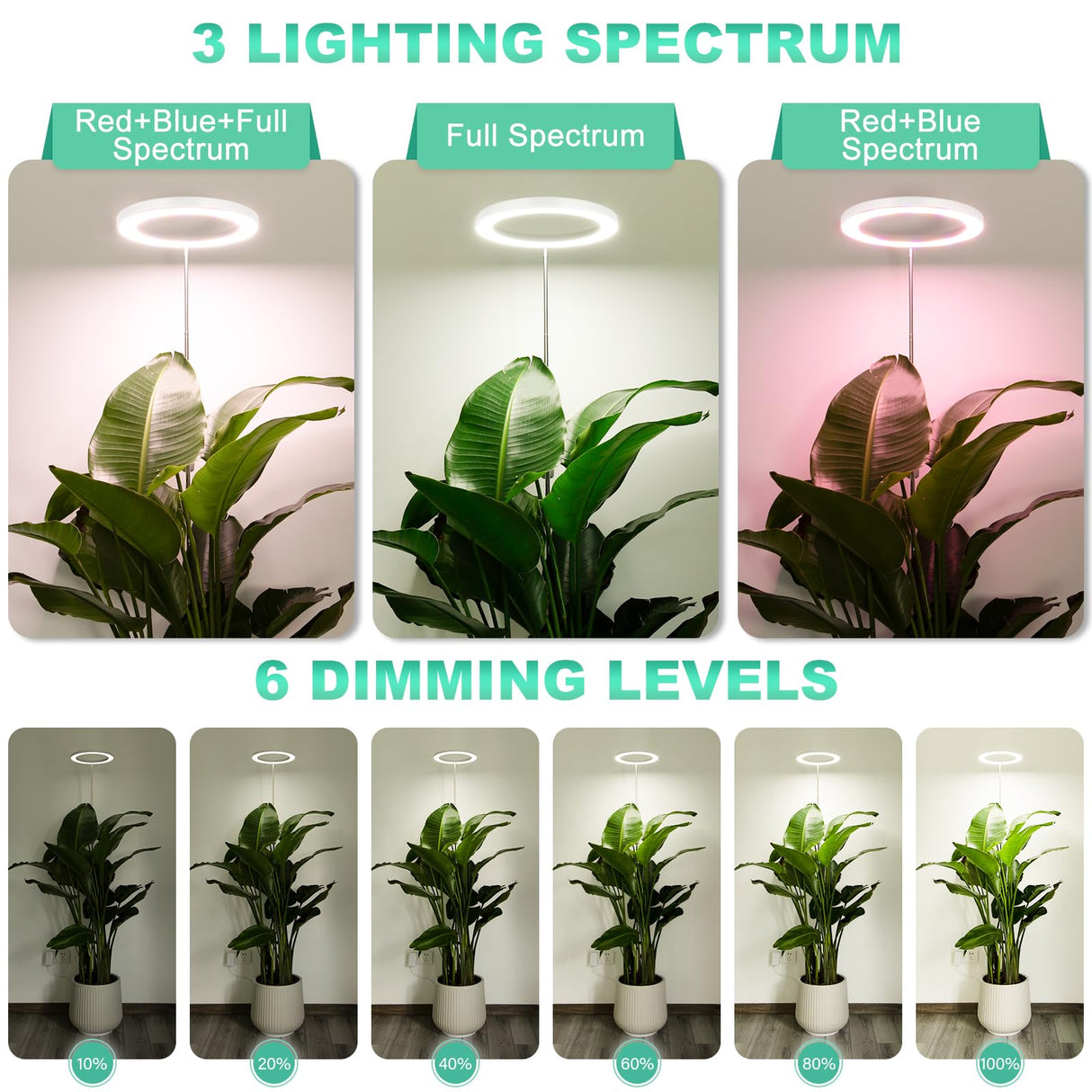 LORDEM 10" Grow Light for Indoor Plants, Full Spectrum Plant Lamp with 160 LEDs, 4H/8H/12H Timer, 6 Dimmable Levels, 3 Spectrum Modes, Height Adjustable 65", Ideal for Growing Large Tall Plants