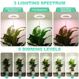 LORDEM 10" Grow Light for Indoor Plants, Full Spectrum Plant Lamp with 160 LEDs, 4H/8H/12H Timer, 6 Dimmable Levels, 3 Spectrum Modes, Height Adjustable 65", Ideal for Growing Large Tall Plants