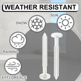 Blulu 36 Pcs 3 Inch Vinyl Shutter Fastener Window Panel Peg Lok Pin Pegs Screws Shutter Spikes Anchor (White)