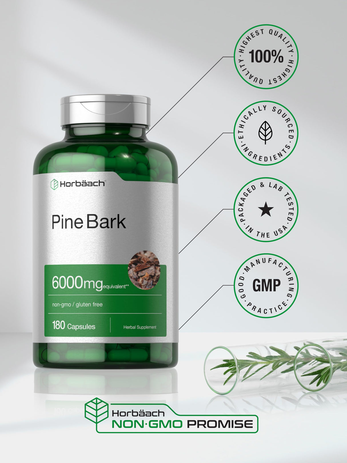 Horbäach Pine Bark Extract | 6000 mg | 180 Capsules | Standardized to Contain 75% Proanthocyanidins | Non-GMO, Gluten Free Supplement | High Potency