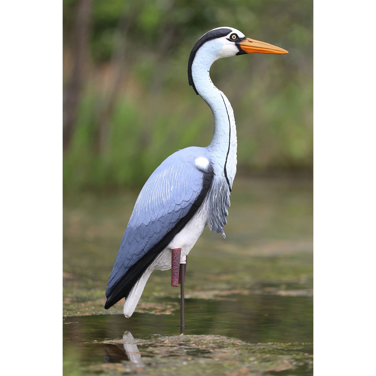 Higdon Outdoors Blue Heron Confidence Decoy for Waterfowl and Ornamental Water Garden, Pond and Landscape Decoration Plus Pest Deterrent