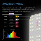 AC Infinity IONBOARD S22, LED Grow Light Board with Samsung LM301H Diodes, Deeper Penetration Full Spectrum Lighting, for Veg Bloom Indoor Plants in Grow Tents Greenhouses (2x2)