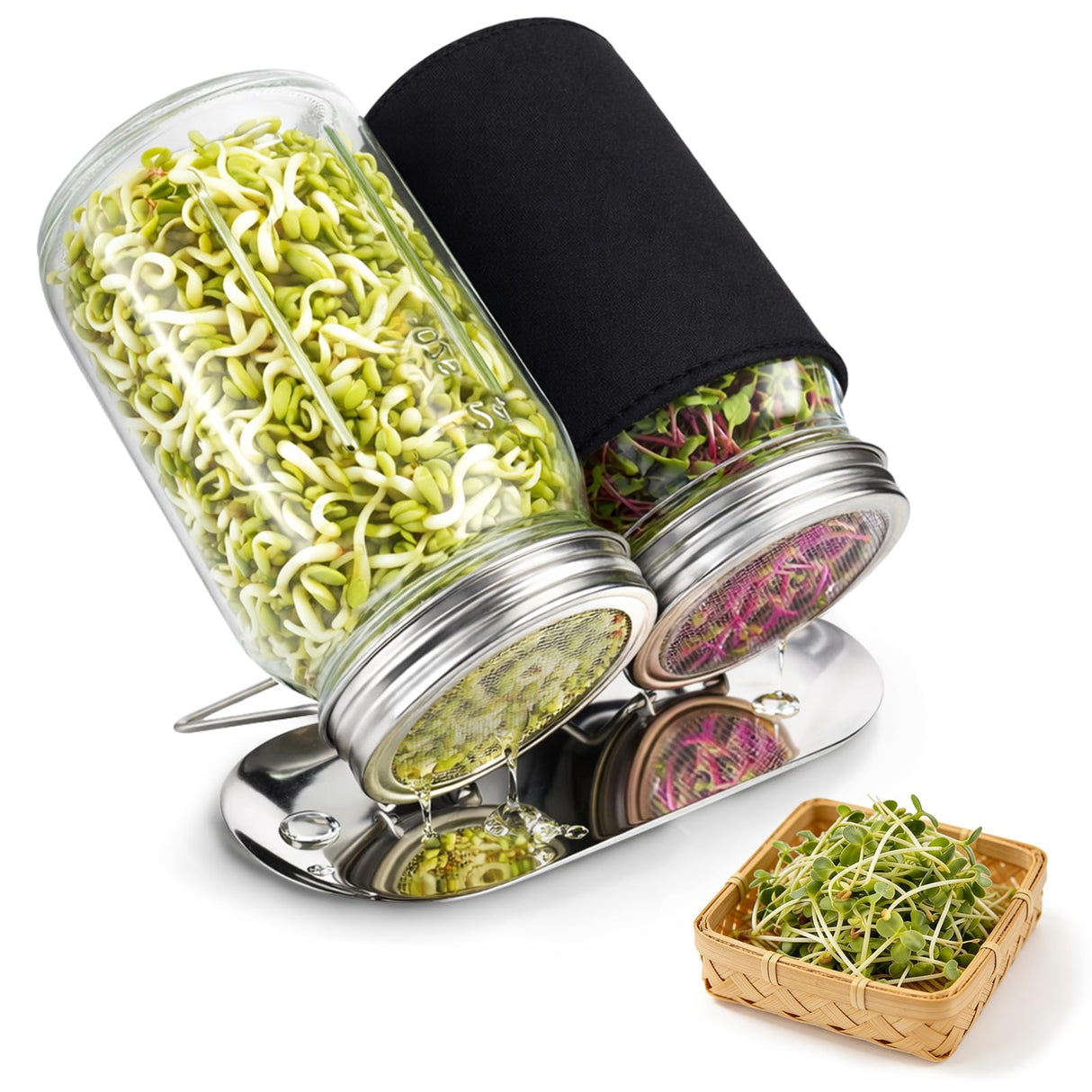 XUNWKONGG Sprouting Jar Kit, 2 Pack Sprouting Kit with Stainless Steel Screen Sprouting Lids, Glass Mason Jars & Light-Blocking Sleeves, Seed Sprouting Kit for Broccoli Sprouts, Bean Sprouts, Alfalfa