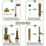 Jegu Self-Watering Moss Pole Plastic, 18.8 Inch Monstera Plant Support