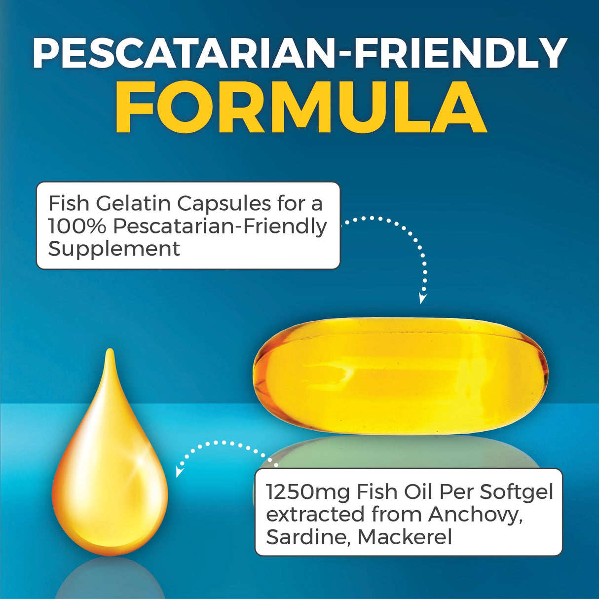 Viva Naturals Triple Strength Omega 3 Fish Oil Supplement - 2500 mg Fish Oil with Re-Esterified Omega 3 Fatty Acids Including EPA, DHA DPA - 60 Pescatarian-Friendly Softgels