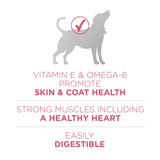Purina ONE Plus Skin & Coat, Sensitive Stomach Dry Dog Food, 31.1 lb Bag
