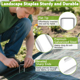 Heavy Duty 12 Inch Galvanized Landscape Staples Stakes, 50 Pack 8 Gauge