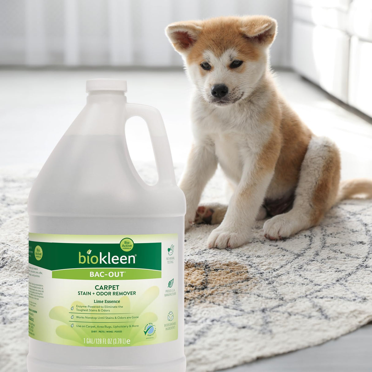 Biokleen Bac-Out Enzyme Cleaner and Stain & Odor Remover for Pet Stains, Laundry, Diapers, Wine, Carpets, & More, Eco-Friendly, Non-Toxic, Lime Scent, 128 Ounces