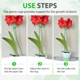 Unves 12 Pack Plant Support Stakes, 36 in Plant Stakes(36 or 24 or 12 Inch)