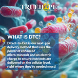 Truehope EMPowerplus Ultimate Capsules - Once-a-Day Brain, Energy and Focus Supplement - Ultra-High Concentration and World-Class Absorption - 30 Capsules