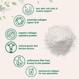 Micro Ingredients Collagen Peptides Powder Organic, 12oz | Type I & III + Natural Protein | Grass-Fed Bovine Source | Unflavored | Supports Skin, Joint & Bone Health | Paleo, Non-GMO