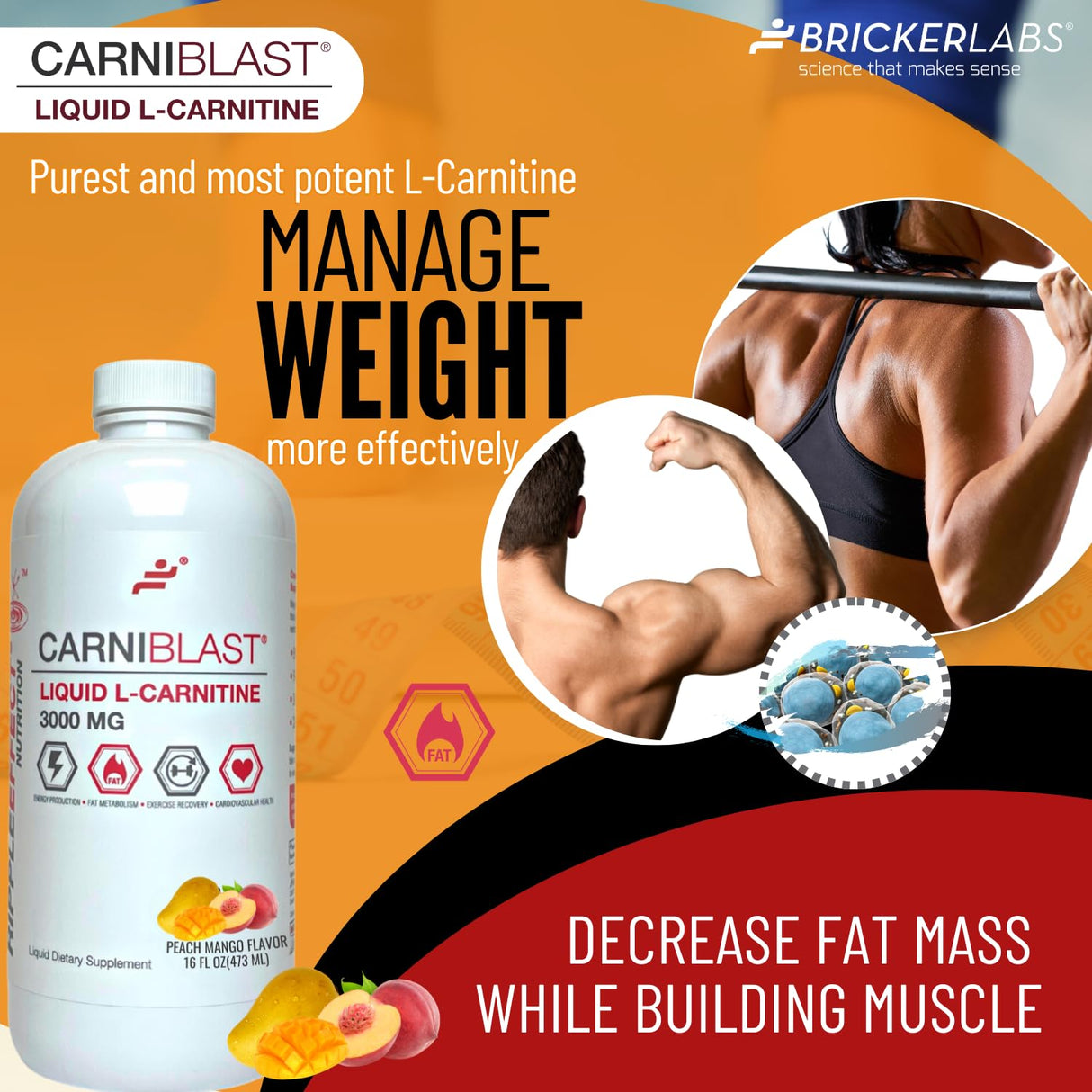 Bricker Labs CARNIBLAST Liquid L-Carnitine 3000mg, Premium L Carnitine Carnipure, Sports Nutrition, Energy Supplement and Energy Booster, Peach Mango 16 fl oz