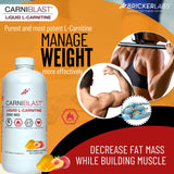 Bricker Labs CARNIBLAST Liquid L-Carnitine 3000mg, Premium L Carnitine Carnipure, Sports Nutrition, Energy Supplement and Energy Booster, Peach Mango 16 fl oz