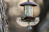 Youvip Metal Roof Bird Feeder - Chew Proof for Outdoor Hanging Wild Bird Seeds. Bronze