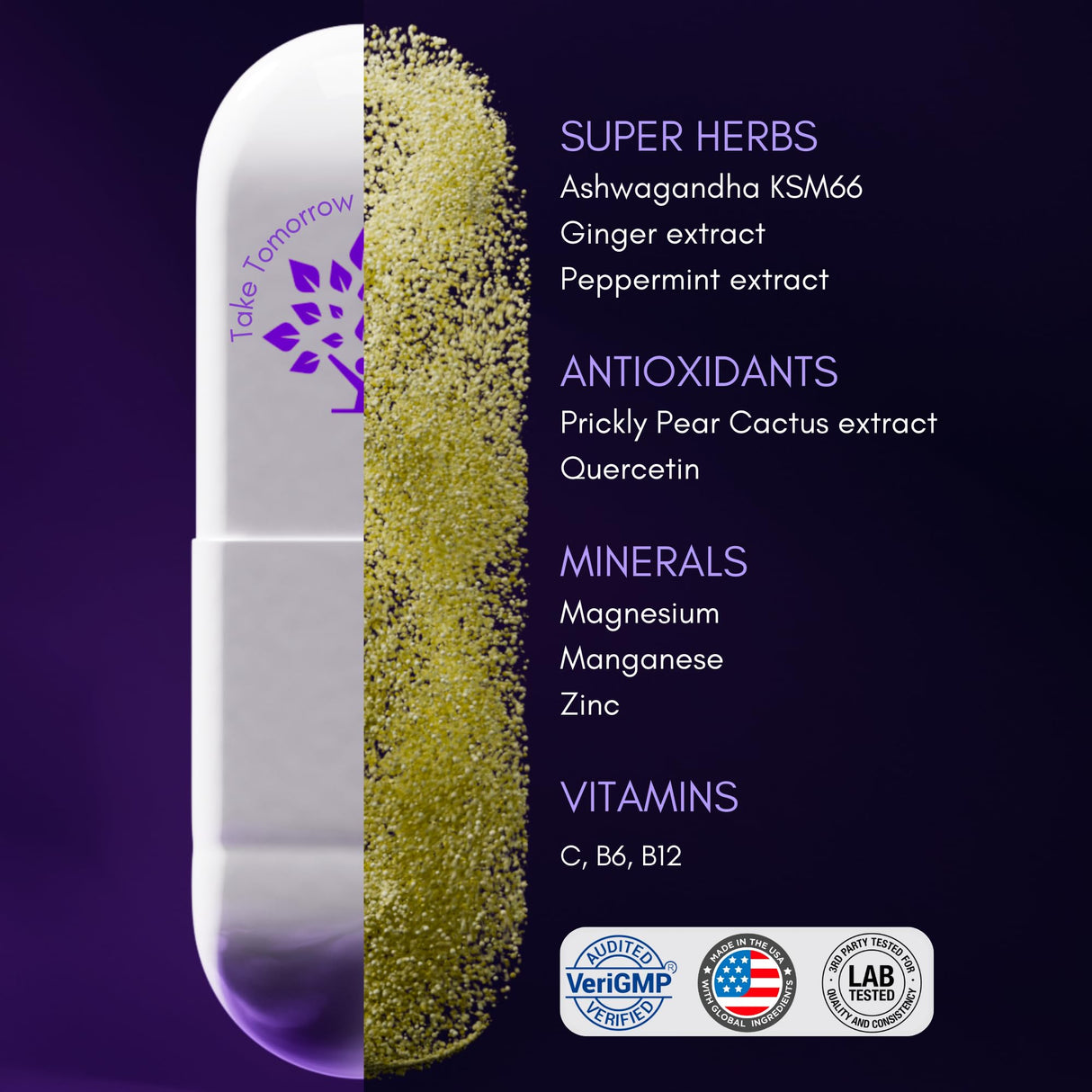 purple tree Next Day, Post-Celebration Wellness - Take Tomorrow | Replenish & Feel Your Best | Ashwagandha, Ginger, Peppermint, Milk Thistle, Electrolytes, Vitamins, 90 Pills