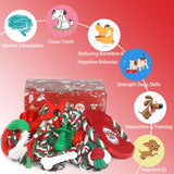 Beiker Christmas Dog Toys Bulk 15 Pack, Puppy Chew Toys for Teething Small Medium Puppies, Holiday Christmas Themed Presents Gifts Box Including Variety Tough Rubber and Rope Toys