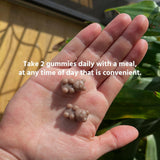 TruHeight Growth Gummies (Watermelon) Natural Growth & Development Supplement for Kids & Teens - Vitamin D, K, Calcium & Ashwaganda - Bone Strength Vitamins, Picky Eater Ages 5+ (Pack of 2) 120 Count