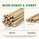 Cambaverd Bamboo Stakes 4 Feet Thicker Garden Stakes with Garden Twine, Diameter of 0.55in Natural Plant Stakes Bamboo Poles for Climbing Plants Support Tomato Cage - 20 Pack Bamboo Sticks for Plants