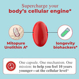 Fitura Healthy Aging Urolithin A - 1000mg, 60 Softgels Mitopure - for Muscle Strength & Cellular Energy - Mitochondrial Function & Overall Wellness