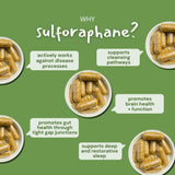 BrocElite Mara Labs Kids | Broccoli Supplement w/Naturally Stabilized Sulforaphane Extract for Children | No Glyphosate Residue | 60 Vegan Capsules