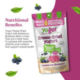 YoGut Freeze Dried Yogurt Snack, Blueberry, 6 Pack, Healthy Snacks for Kids, Toddlers & Adults, Gluten Free, Non GMO, With 5 Billion Live Probiotics, Vitamins & Minerals, Individual Snack Packs