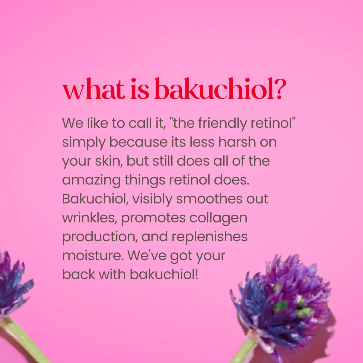 Burt's Bees Skin Care Stocking Stuffers, Face Moisturizer, Firming Face Cream, Anti-Aging Retinol Alternative, Moisturizing Natural Origin Skin Care Christmas Gifts, 1.8 Ounce