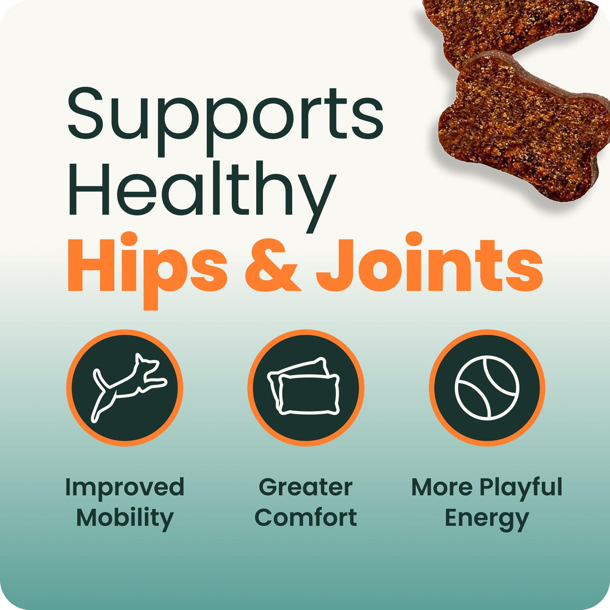 VetriScience Extra Strength Healthy Hip & Joint for Dogs, Chicken, 120ct