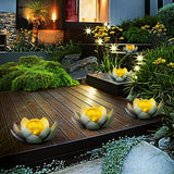 Huaxu Garden Solar Light Outdoor, Amber Crackle Globe Glass Lotus Decoration, Waterproof Gray Metal LED Flower Lights for Patio,Lawn,Walkway,Tabletop,Ground…