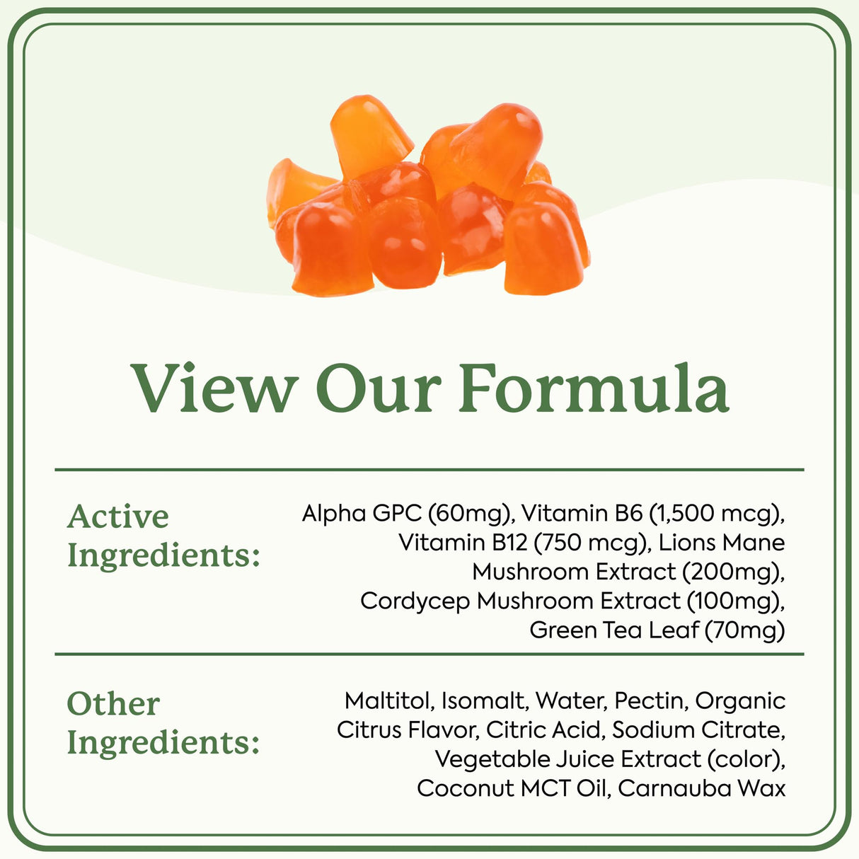 Plant People WonderFocus Mushroom Gummies with Lion’s Mane & Cordyceps - Nootropic Brain Supplement Boosts Memory, Focus, Energy & Mood in Adults | No Sugar, 100% Vegan, Citrus Flavor, 60 Count