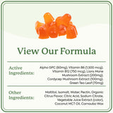 Plant People WonderFocus Mushroom Gummies with Lion’s Mane & Cordyceps - Nootropic Brain Supplement Boosts Memory, Focus, Energy & Mood in Adults | No Sugar, 100% Vegan, Citrus Flavor, 60 Count