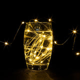 ZELUXDOT Fairy Lights Plug in,200FT 600LEDs Waterproof Led String Lights,8 Modes Remote Twinkle Light for Outdoor Indoor Christmas Wedding Birthday Garden Party Decorations,Silver Wire,Warm White