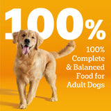 Pedigree Choice Cuts Wet Dog Food, Beef & Country Stew, 13.2 oz, 12 count