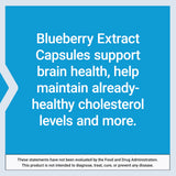 Life Extension Blueberry Extract Capsules - Whole Fruit Wild Blueberry Extract Supplement Pills- For Brain Health Support - Non-GMO, Gluten-Free ,Vegetarian - 60 Capsules