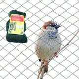 Anti Bird Netting for Garden Woven Mesh - Heavy Duty Protect Plants and Fruit Trees from Rodents Birds Deer Poultry Reusable and Doesn't Tangle (19.5 ft x 40 ft)