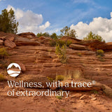 Trace Minerals Immunity Plus - Daily Liquid Supplement for Antioxidant Support - Immunity Support Supplement with Elderberry & Zinc - Ionic Trace Mineral Formula - Mixed Berry, 30 fl oz (30 Servings)