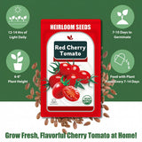 Cherry Tomato Seed Pods Kit for Hydroponics, 12 Pods Grow Anything Kit for Indoor Hydroponics Growing System, Hydroponics Supplies with 12 Grow Sponges, 12 Plant Baskets, 12 Pod Domes and Labels