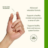 Swanson Amino Acid Gabaplex w/L-Tyrosine & L-Theanine 60 Veg Capsules