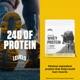 Levels Grass Fed Whey Protein Powder, No Artificials, 24G of Protein, Vanilla Bean, 1LB
